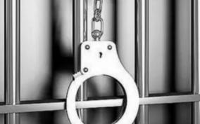 9-arrested-in-4-theft-cases