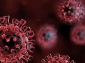 who-says-new-virus-strain-xe-could-be-most-contagious