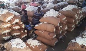 abolition-of-import-duty-on-cotton