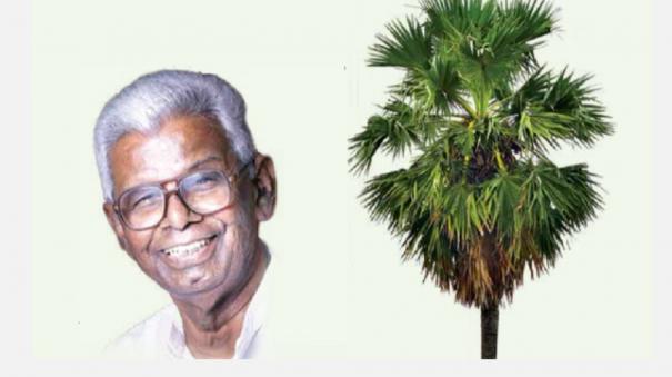 Palm tree and ma.aranganathan