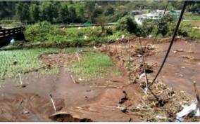 rainfall-fertilizer-shortage-help-the-farmers-tamil-nadu-farmers-association-request-to-the-government-of-tamil-nadu