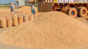 direct-paddy-procurement-centers-under-the-control-of-traders