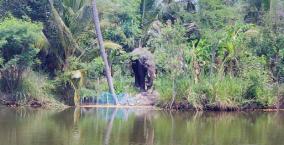 3-elephant-camp-farmers-suffering