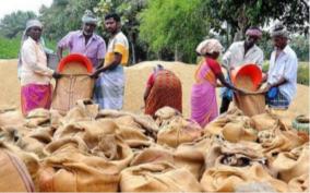 government-direct-paddy-procurement-stations