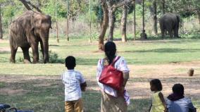 vandalur-zoological-park-24-7-live-streaming-of-16-animals-so-far-been-viewed-by-over-6-crore-visitors-tn-govt