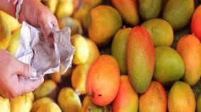 carbide-stone-hidden-dangers-in-mangoes
