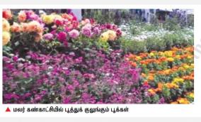 today-onwards-munnar-flower-exhibition-starts-may-10th-last-day