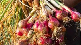 palani-farmer-who-gives-onions-for-free