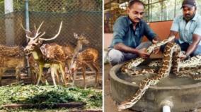 fruit-juss-for-animals-mountain-snakes-cold-water-spray-for-star-tortoises-forest-department-arranges-to-deal-with-summer