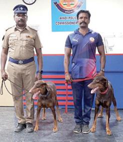 handing-over-the-sniffer-dogs