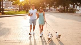 let-us-design-the-best-cities-for-pets