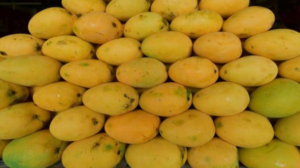 Picking the Right Mangoes