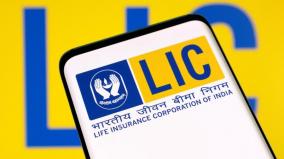 foreign-investors-have-mostly-steered-clear-of-mega-lic-ipo