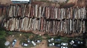 amazon-deforestation-hits-new-record