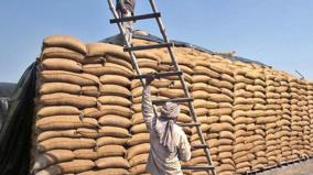 india-exports-14-lakh-tonnes-of-wheat-in-april-month