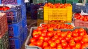 rising-tomato-prices-do-not-benefit-tamil-nadu-farmers