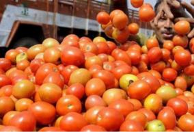 tomatoes-are-imported-from-andhra-pradesh