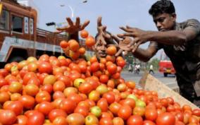 tomato-price-rises-to-rs-70