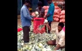 man-cuts-cabbage-in-lightning-speed-video-goes-viral-twitter-site