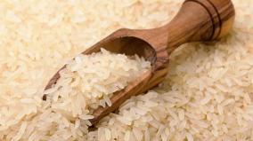 nutritious-rice-contradictions-and-solutions-an-overview