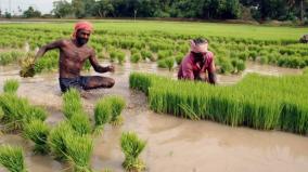 the-water-level-in-the-mettur-dam-has-not-dropped-below-100-feet