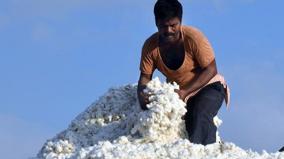 rise-in-cotton-prices