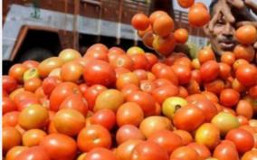 tomatoes-are-cheaper
