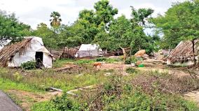 request-to-the-government-to-provide-safe-housing-for-tribal-people