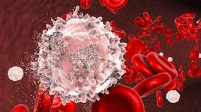 world-blood-cancer-day-proper-treatment-can-protect-us-from-blood-cancer