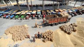 egypt-and-bangladesh-urges-india-for-wheat-export