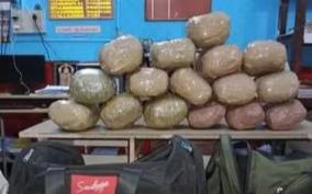 10-kg-of-cannabis-seized