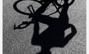 indian-cyclist-alleges-sexual-harassment-of-coach-to-be-probe-by-panel
