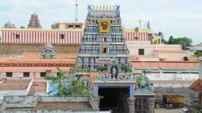will-the-government-provide-an-elephant-for-the-swamimalai-temple