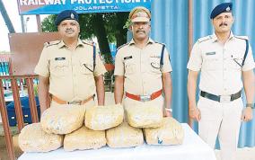 14-kg-of-cannabis-smuggled-in-train