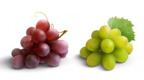 grapes-facts