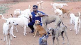 usilampatti-engineer-build-a-farm-to-save-country-breed-dogs