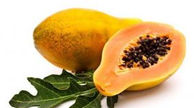 cheap-and-best-nutritionist-papaya