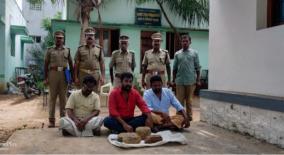 whale-residue-worth-rs-10-crore-seized-in-madurai
