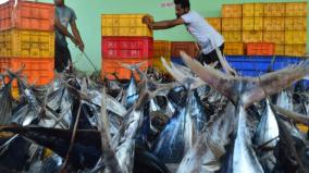 tuna-export-scam-lakshadweep-mp-faced-cbi-enquiry