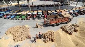 18-lakh-tonnes-of-wheat-exported-says-indian-government