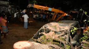 trees-are-falling-due-to-storm-water-drain-in-chennai