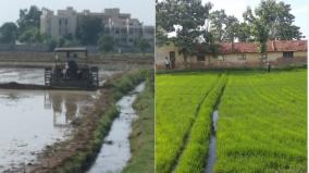 water-opening-in-mullaiperiyar-agricultural-work-for-the-first-crop-in-45-thousand-acres-in-madurai-district