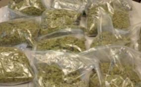 youth-arrested-for-smuggling-10-kg-of-cannabis