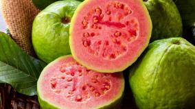 guava-is-everyone-s-favorite