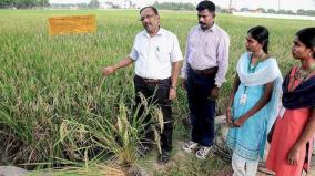 will-there-be-more-agricultural-colleges-on-tamil-nadu