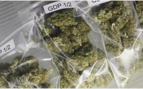198-bank-accounts-of-ganja-dealers-freeze-in-west-zone-districts