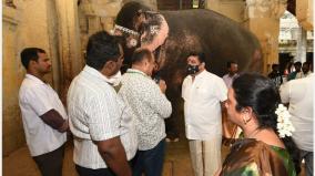 elephant-parvati-suffering-from-visual-impairment-in-madurai-meenakshiyamman-temple