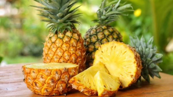 அன்னாசி, பழ உலகின் அண்ணாச்சி! | Health Benefits of Pineapple - hindutamil.in
