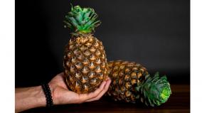 pineapple-that-restores-digestion-a-quick-look