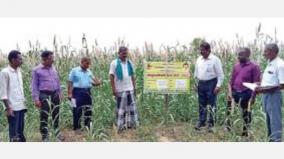 seeds-farm-on-kamuthi-to-increase-cultivation-of-small-grains